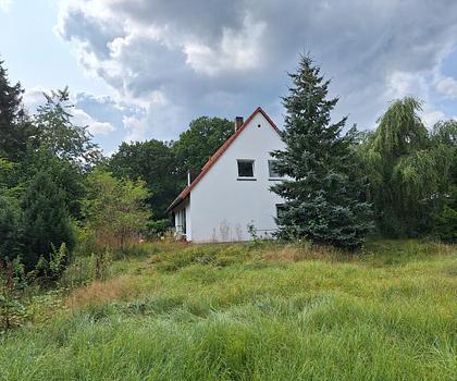 Traumhaftes großes Grundstück mit Altbestand am Waldrand von Rückersdorf!