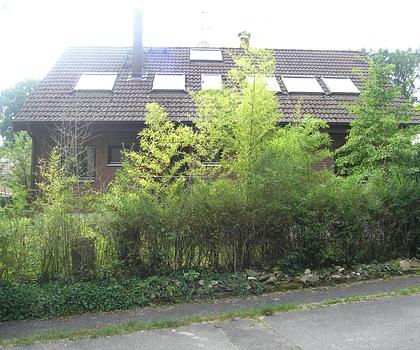 Renovierungsbedürftiges 1-Familien-Haus mit Garage