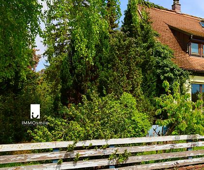 Großes Gartengrundstück mit Altbestand aus den 30er Jahren in Buchenbühl