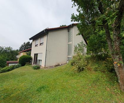 Modernes Einfamilienhaus in Split-Level-Bauweise am Waldrand in Altenplos