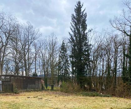 Baugrundstück mit Baugenehmigung in naturnaher Umgebung