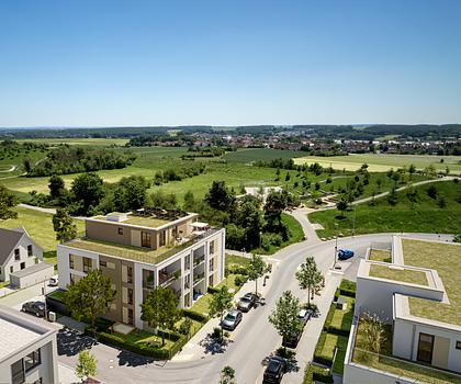 Daily Home – Where Life Becomes Story