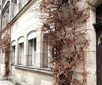 Wohnglück in der City ...
Geschäfte und nette Restaurants, alles in Ihrer Nähe ...