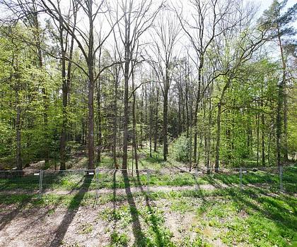 Waldrandlage + EFH als 5-Zi.-Neubau-ETW + 115 m² Wfl. + 2 Bäder + Wärmepumpe - FB-Heizung + Schlüsselfertig + PROVISIONSFREI für Käufer